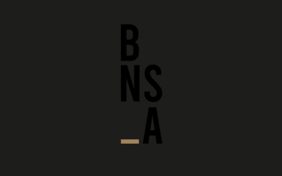 Projects in ‘BNSA this was 2021’